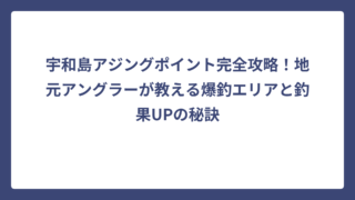 宇和島アジングポイント完全攻略！地元アングラーが教える爆釣エリアと釣果UPの秘訣