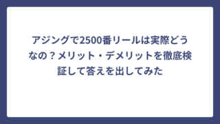 アジングで2500番リールは実際どうなの？メリット・デメリットを徹底検証して答えを出してみた