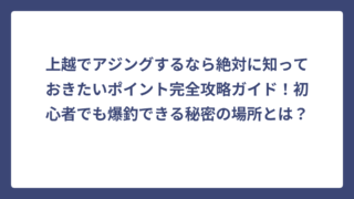 上越でアジングするなら絶対に知っておきたいポイント完全攻略ガイド！初心者でも爆釣できる秘密の場所とは？