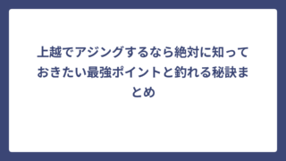 上越でアジングするなら絶対に知っておきたい最強ポイントと釣れる秘訣まとめ