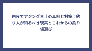 由良でアジング禁止の真相と対策！釣り人が知るべき現実とこれからの釣り場選び