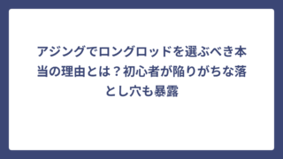 アジングでロングロッドを選ぶべき本当の理由とは？初心者が陥りがちな落とし穴も暴露