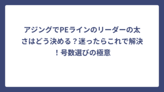 アジングでPEラインのリーダーの太さはどう決める？迷ったらこれで解決！号数選びの極意