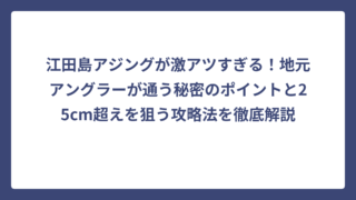 江田島アジングが激アツすぎる！地元アングラーが通う秘密のポイントと25cm超えを狙う攻略法を徹底解説