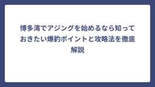 博多湾でアジングを始めるなら知っておきたい爆釣ポイントと攻略法を徹底解説