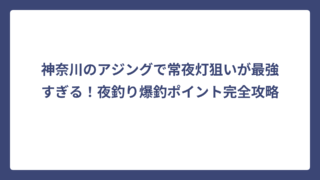神奈川のアジングで常夜灯狙いが最強すぎる！夜釣り爆釣ポイント完全攻略