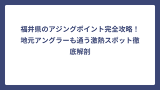 福井県のアジングポイント完全攻略！地元アングラーも通う激熱スポット徹底解剖