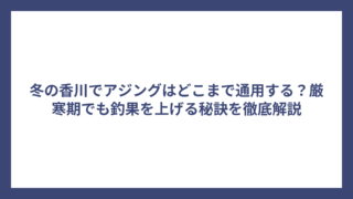 冬の香川でアジングはどこまで通用する？厳寒期でも釣果を上げる秘訣を徹底解説