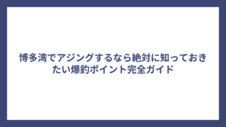 博多湾でアジングするなら絶対に知っておきたい爆釣ポイント完全ガイド
