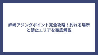 師崎アジングポイント完全攻略！釣れる場所と禁止エリアを徹底解説