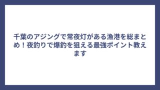 千葉のアジングで常夜灯がある漁港を総まとめ！夜釣りで爆釣を狙える最強ポイント教えます