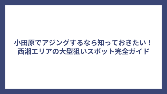 小田原でアジングするなら知っておきたい！西湘エリアの大型狙いスポット完全ガイド