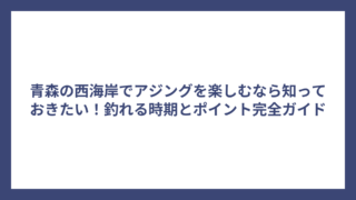 青森の西海岸でアジングを楽しむなら知っておきたい！釣れる時期とポイント完全ガイド