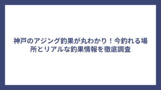 神戸のアジング釣果が丸わかり！今釣れる場所とリアルな釣果情報を徹底調査