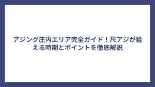 アジング庄内エリア完全ガイド！尺アジが狙える時期とポイントを徹底解説
