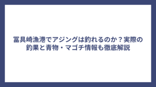 冨具崎漁港でアジングは釣れるのか？実際の釣果と青物・マゴチ情報も徹底解説