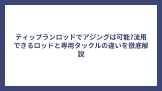 ティップランロッドでアジングは可能?流用できるロッドと専用タックルの違いを徹底解説