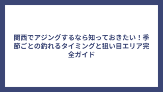 関西でアジングするなら知っておきたい！季節ごとの釣れるタイミングと狙い目エリア完全ガイド