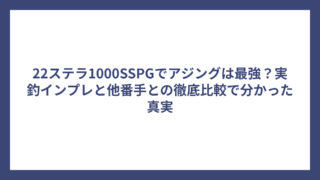 22ステラ1000SSPGでアジングは最強？実釣インプレと他番手との徹底比較で分かった真実