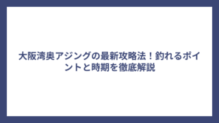 大阪湾奥アジングの最新攻略法！釣れるポイントと時期を徹底解説