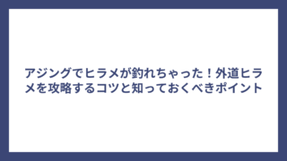アジングでヒラメが釣れちゃった！外道ヒラメを攻略するコツと知っておくべきポイント