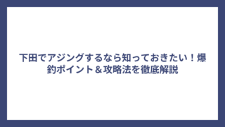 下田でアジングするなら知っておきたい！爆釣ポイント＆攻略法を徹底解説