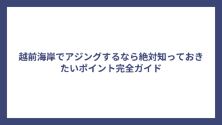 越前海岸でアジングするなら絶対知っておきたいポイント完全ガイド