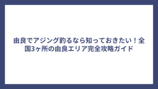 由良でアジング釣るなら知っておきたい！全国3ヶ所の由良エリア完全攻略ガイド