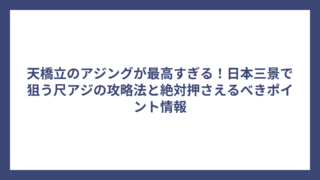 天橋立のアジングが最高すぎる！日本三景で狙う尺アジの攻略法と絶対押さえるべきポイント情報
