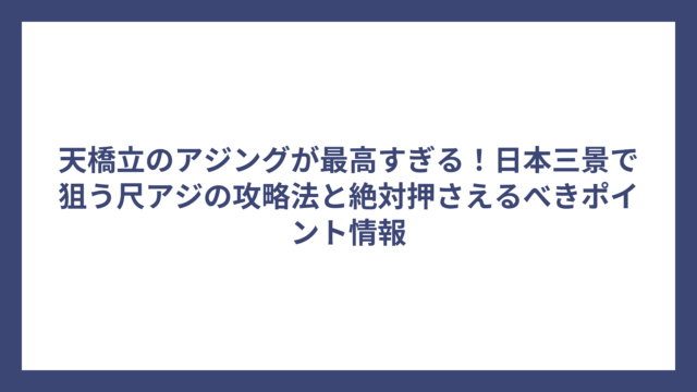 天橋立のアジングが最高すぎる！日本三景で狙う尺アジの攻略法と絶対押さえるべきポイント情報