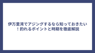 伊万里湾でアジングするなら知っておきたい！釣れるポイントと時期を徹底解説