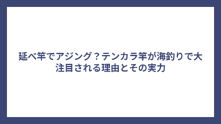延べ竿でアジング？テンカラ竿が海釣りで大注目される理由とその実力