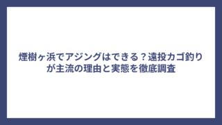 煙樹ヶ浜でアジングはできる？遠投カゴ釣りが主流の理由と実態を徹底調査