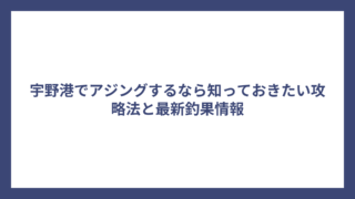 宇野港でアジングするなら知っておきたい攻略法と最新釣果情報