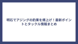 明石でアジングの釣果を爆上げ！最新ポイントとタックル情報まとめ
