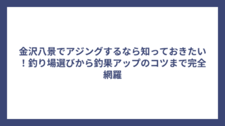 金沢八景でアジングするなら知っておきたい！釣り場選びから釣果アップのコツまで完全網羅