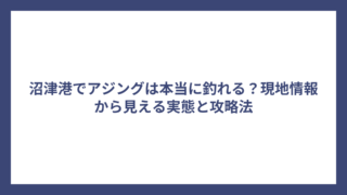 沼津港でアジングは本当に釣れる？現地情報から見える実態と攻略法