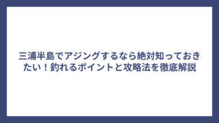 三浦半島でアジングするなら絶対知っておきたい！釣れるポイントと攻略法を徹底解説