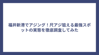福井新港でアジング！尺アジ狙える最強スポットの実態を徹底調査してみた