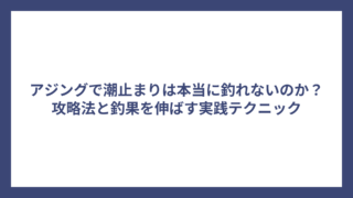 アジングで潮止まりは本当に釣れないのか？攻略法と釣果を伸ばす実践テクニック