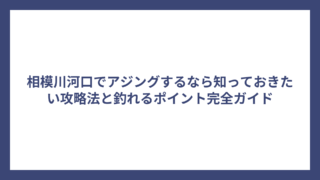 相模川河口でアジングするなら知っておきたい攻略法と釣れるポイント完全ガイド