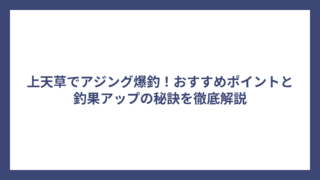 上天草でアジング爆釣！おすすめポイントと釣果アップの秘訣を徹底解説