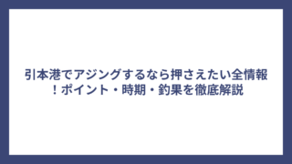 引本港でアジングするなら押さえたい全情報！ポイント・時期・釣果を徹底解説