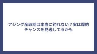 アジング産卵期は本当に釣れない？実は爆釣チャンスを見逃してるかも