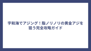 宇和海でアジング！脂ノリノリの黄金アジを狙う完全攻略ガイド
