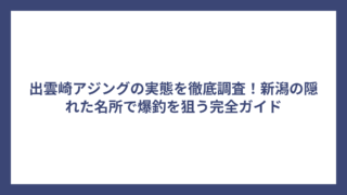 出雲崎アジングの実態を徹底調査！新潟の隠れた名所で爆釣を狙う完全ガイド