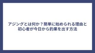 アジングとは何か？簡単に始められる理由と初心者が今日から釣果を出す方法