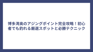 博多湾奥のアジングポイント完全攻略！初心者でも釣れる厳選スポットと必勝テクニック