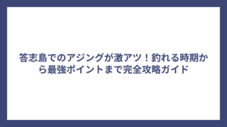 答志島でのアジングが激アツ！釣れる時期から最強ポイントまで完全攻略ガイド