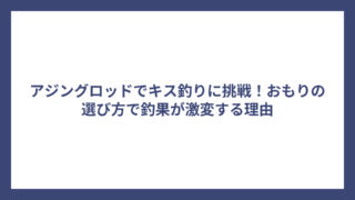 アジングロッドでキス釣りに挑戦！おもりの選び方で釣果が激変する理由